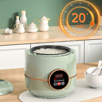 Mini cuiseur à riz électrique portable automatique avec écran LED numérique, cuve antiadhésive, cuisson rapide, boîtier en plastique, idéal pour hôtel