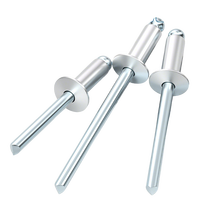 Rivet en aluminium 25mm 4.8mm Rivets aveugles en acier inoxydable Rivet à tête ronde pour vis de châssis automobile Rivet à goujon pyramidal 4.8mm