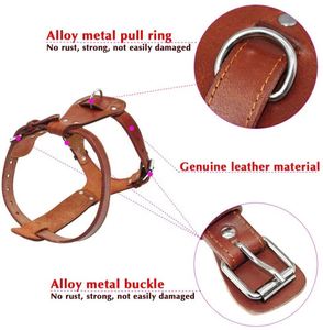 Arnés de Perro de Cuero Genuino Resistente y Fácil de Controlar, Ajustable, con Patrón Sólido, Ecológico, para Perros Medianos y Grandes - Product Image 6