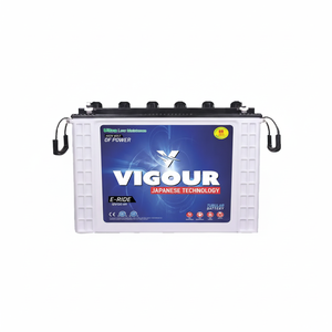 Batería tubular alta de plomo-ácido de alta calidad OEM ODM 12V 220AH para tractores y vehículos - Product Image 1