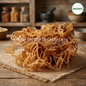 Musgo Irlandés Puro en Polvo Natural Chondrus Crispus, Superalimento Marino Rico en Minerales para el Apoyo Inmunológico y Digestivo - Product Image 2