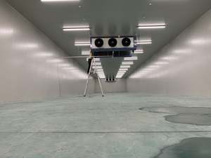 RUIXUEカスタマイズされた冷蔵容器高効率冷凍庫40フィート20ft冷蔵室野菜または果物用 - Product Image 3