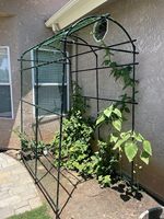 Gartenpflanzen-Metallclips für Tomaten, Bambuszaunpaneele, Hochbeet, Pergola, Schwarzes Rankgitter für Kletterpflanzen