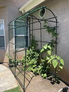 Clips à tomates en métal pour plantes de jardin, panneaux de clôture en <span class=keywords><strong>bambou</strong></span>, banc, bac surélevé, <span class=keywords><strong>pergola</strong></span>, treillis noir pour plantes grimpantes - Product Image 5