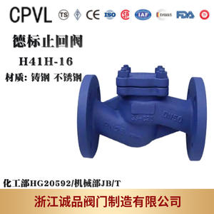 Válvula de Retención de Brida Tipo Elevador H41H-16 con Estructura de Fuelle en Acero Fundido o Acero Inoxidable para Medios de Aceite, Agua y Gas - Product Image 2