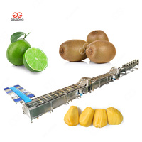 Industriële Passievrucht Wassen Reinigingsapparaat Lijn Kiwi Reiniger Machine Automatische Wasmachine Voor Fruit