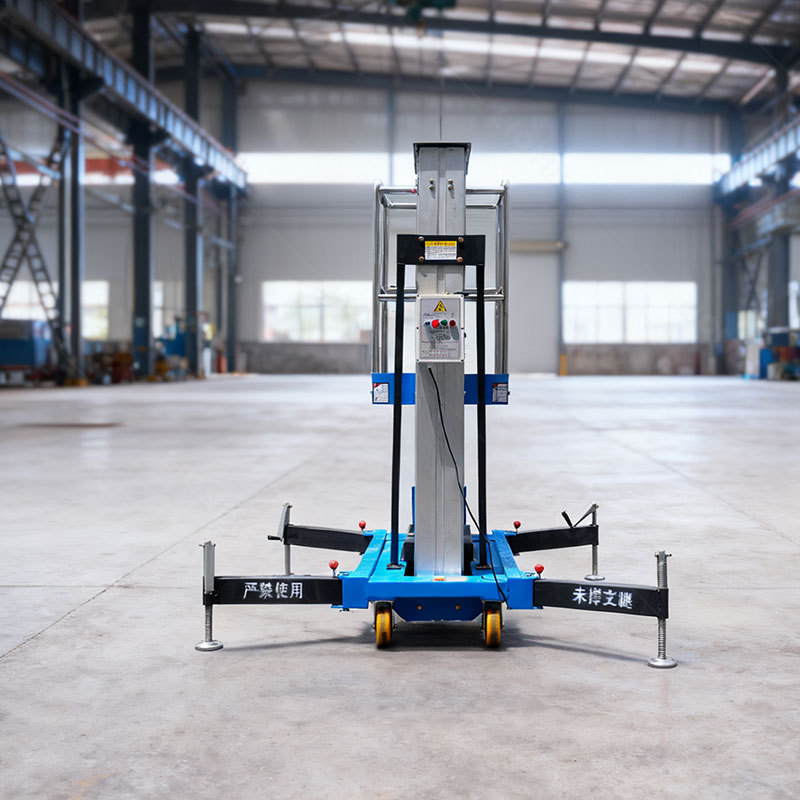 Liondi Lift Platform Vertical Double Mast