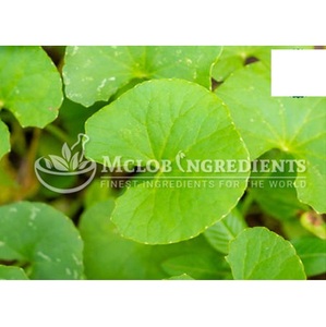 Extracto de Hydrocotyle Asiatica, Suplemento Herbal Natural para la Salud Cerebral, Apoyo a la Memoria, Cuidado de la Piel, Alivio del Estrés y Bienestar - Product Image 3