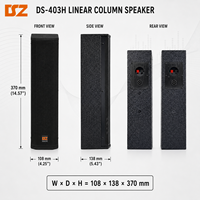 Enceinte de Scène Murale Professionnelle DSZ DS-403H 800W pour Extérieur, Double Haut-Parleur 15 Pouces, 8 Ohms, 70Hz-20kHz