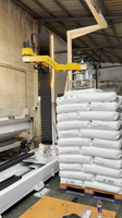 Bras robotisé de déballage de sacs monté sur rail |   Robot de dépalletisation mobile pour alimentation automatique |   25-100 kg/sac, 100-120 sacs/heure