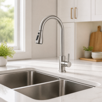 Robinet de cuisine moderne en acier inoxydable 304, flexible, à double fonction eau chaude et froide, avec douchette extractible
