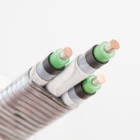 Bomba eléctrica sumergible Poliimida/Aislamiento de flúor Funda de flúor Cable de armadura de acero inoxidable