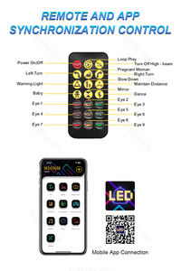 <strong>LED</strong> <strong>Eyes</strong> for Car/Motorcycle Windshield Smart Remote &amp; APP Control <strong>Devil</strong> <strong>Eye</strong> Lights Custom Text Pattern - Product Image 5