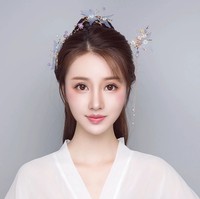 Phụ Nữ Mới Hanfu Ngọc Trai Dài Tua Hoa Kẹp Tóc Kẹp Tóc Bộ Phụ Kiện Tóc Phong Cách Trung Quốc