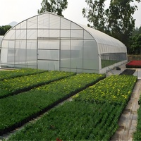 Serre agricole en polyéthylène transparent à simple portée préfabriquée, vente en gros, serre pour tomates et légumes d'occasion