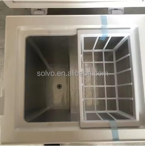 Ghana Sử Dụng 220V 58L Kích Thước Nhỏ Ngực Tủ Đông Có Thể Điều Chỉnh Nhiệt Độ Nhanh Chóng Đóng Băng Với Khung Nhà Thương Mại Sử Dụng Năng Lượng Tiết Kiệm - Product Image 2