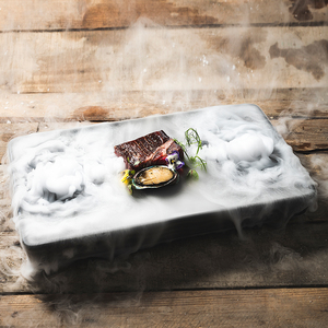 Nhà hàng INS Hotel Molecular Dish, món ăn ẩm thực lạnh, <span class=keywords><strong>sushi</strong></span>, phục vụ trên đĩa đen, đĩa gastronomy, đĩa hình chữ nhật, đá khô - Product Image 2