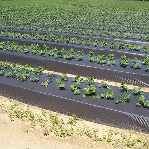 Tùy chỉnh nhựa phân hủy sinh học nhựa nông nghiệp phim mulching phim - Product Image 4