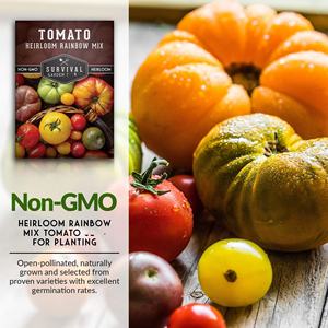 <span class=keywords><strong>Tomates</strong></span> arc-en-ciel biologiques non-OGM, variété héritage, paquet <span class=keywords><strong>de</strong></span> graines <span class=keywords><strong>de</strong></span> légumes, plantation facile pour jardin potager à domicile, sur le sol ou suspendu - Product Image 5