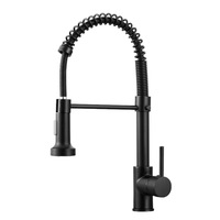 Keran Dapur Modern Hitam Komersial, Tuas Tunggal, Katup Keramik OEM, Kuningan, Pemasangan di Dek, Lubang Tunggal, Tarik, Air Panas/Dingin