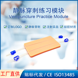 Coussin d'entraînement à l'injection intraveineuse, module de ponction intraveineuse, modèle médical simulé de vaisseaux sanguins pour la formation par simulation - Product Image 4
