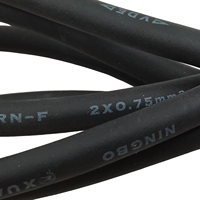 Câble d'extension 10A 250V H05RN-F Europe à 2 broches vers 2 fils dénudés avec bornes
