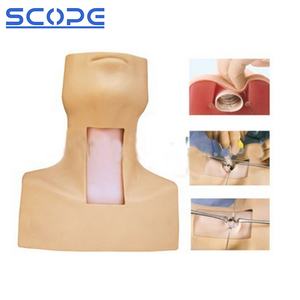 โมเดลทางการแพทย์ SC-J58หลอดลมง่ายหุ่นจำลองการฝึกทักษะฉุกเฉิน - Product Image 2