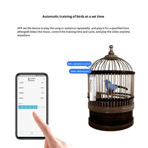 Caméra de reconnaissance d'oiseaux intelligente IA 300W, capteur CMOS, IP65, grand angle, dissuasion des oiseaux intérieure/extérieure, 1 an de stockage cloud, 2MP, PIR humain - Product Image 4