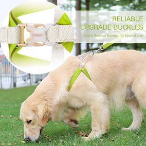 2023 Luxury Premium Coated Macaron <b>Light</b> Yellow Waterproof <b>Dog</b> Training Collar H-strap Harness Adjustable Polyester PVC <b>Dog</b> - Product Image 2