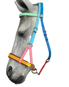 HE5600 Modèle de licol pour cheval en nylon et cuir personnalisé, avec fermoir en laiton doré SS clouté, style Western et anglais, durable et de qualité supérieure - Product Image 2