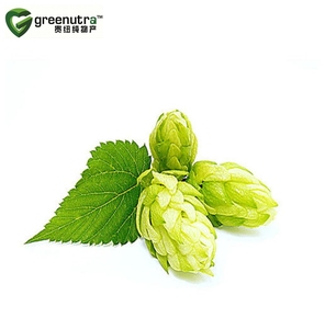 Siêu tới hạn CO2 khai thác Hops dầu và chất lỏng hop chiết xuất - Product Image 3