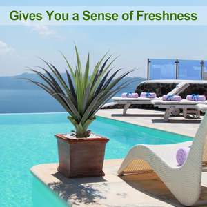 Planta de <span class=keywords><strong>Agave</strong></span> Artificial con pinchos para interiores y exteriores, verde sintética realista resistente a los rayos UV - Product Image 2