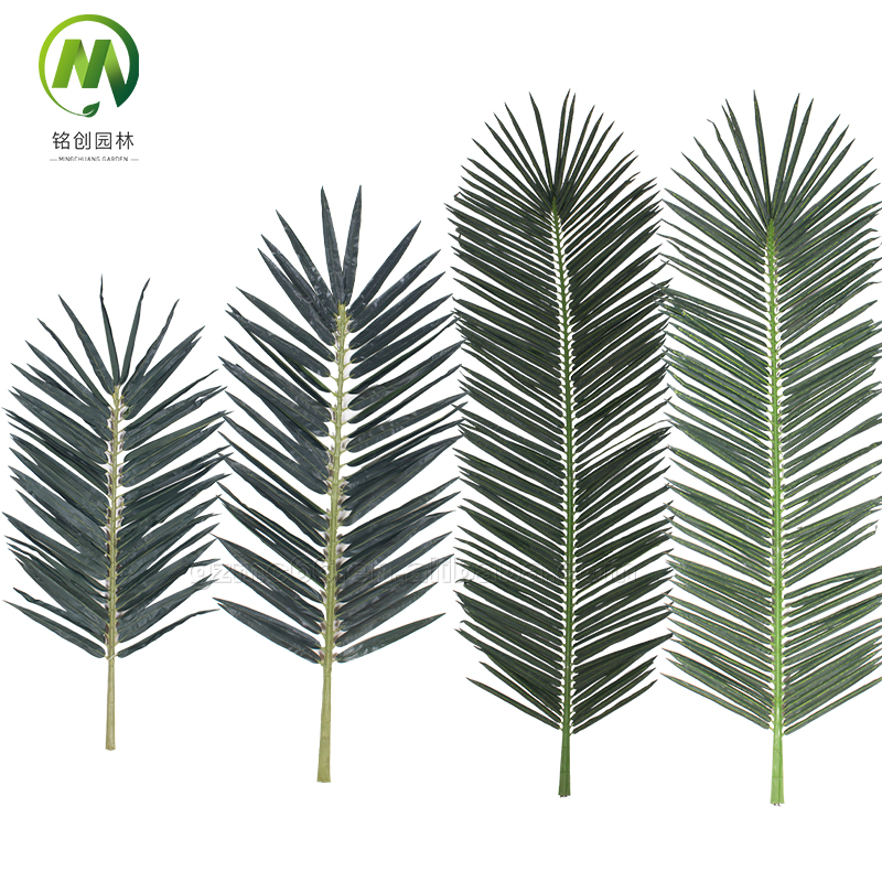 palm leaves