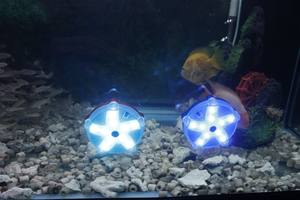 Bajo el agua sumergible LED <span class=keywords><strong>luces</strong></span> <span class=keywords><strong>a</strong></span> prueba de agua de Color de la baterí<span class=keywords><strong>a</strong></span> operado lámpara <span class=keywords><strong>para</strong></span> bañera caliente estanque piscina fuente de iluminación - Product Image 6