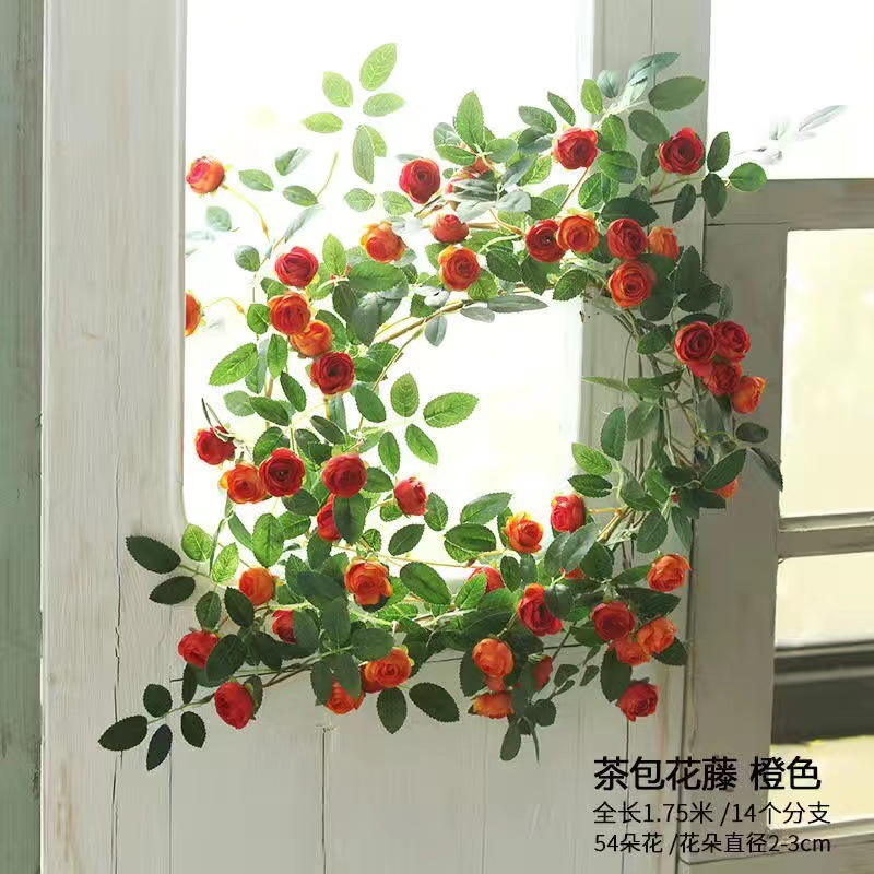 An orange tea bag flower vine (1.75 meters)