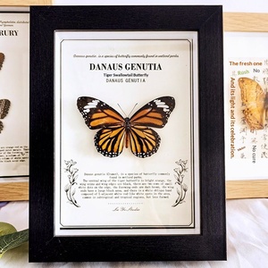 <span class=keywords><strong>Cornice</strong></span> Portafoto con Farfalla e Insetto, Dipinto Fai-da-Te, <span class=keywords><strong>Cornice</strong></span> a Specchio Artigianale, Verniciatura a Spruzzo, MDF, Vetro Vero, <span class=keywords><strong>Cornice</strong></span> Quadrata Cava - Product Image 2