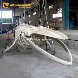 Mijn Dino <span class=keywords><strong>Aquarium</strong></span> Decor Levensgrote Blauwe Walvis Skelet Te Koop - Product Image 1