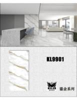 Panneaux de mur de PVC de marbre UV de SPC
