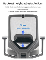 Chaise de bureau ergonomique en maille de qualité supérieure Chaise de direction réglable de haute qualité avec soutien lombaire pour les gestionnaires
