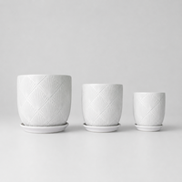 Pot à succulentes en céramique moderne, différents styles, jardinière pour herbes d'intérieur et pots à fleurs pour la décoration de la maison et du jardin