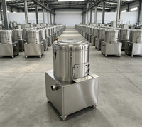Machine à éplucher les pommes de terre rotative Falcon de petite taille, directement de l'usine, avec moteur, en acier inoxydable, 220V, pour les entreprises de restauration