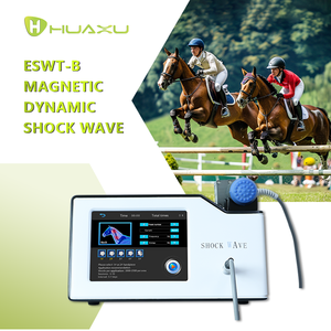Máquina de cuidado de animales, fisio y magneto para lesiones deportivas, terapia de choque veterinaria, magnawave, pemf - Product Image 5