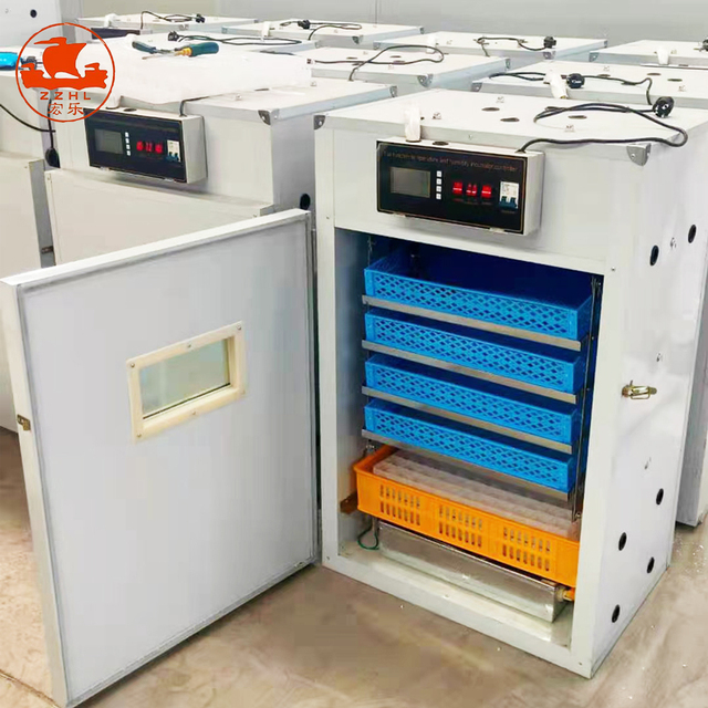 Egg Incubator Incubators Hatching Eggs