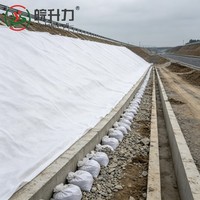 Système de séparation et de filtration des couches de ballast ferroviaire en géotextile à filament continu WSL 500g pour la construction routière perméable