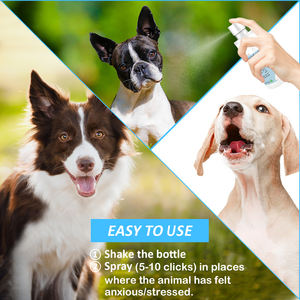 Precios mayoristas Spray calmante para perros, Spray calmante de feromonas para perros, Spray calmante para perros aceptado OEM y ODM - Product Image 6