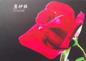 <span class=keywords><strong>PVC</strong></span> Vật Liệu Lạnh Cán Phim Ảnh Laminate Phim Cho Ảnh Bảo Vệ Phim CuộN - Product Image 4