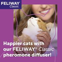 Recharges de diffuseur de phéromones calmantes pour chats, inodores, 3 x 48 ml, classiques, recommandées par les vétérinaires, sans médicaments, cliniquement prouvées pour