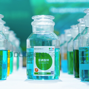Fosfito de potasio líquido NPK fertilizante <span class=keywords><strong>para</strong></span> alimentación foliar fertirrigación precio al por mayor - Product Image 4