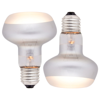 Vente en gros de lampe de chauffage UVB Reptile ampoule de jour avec une puissance de 50W-150W en verre écologique pour les reptiles