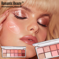 12-Farben Matte Pigment-Lidschatten-Palette Erschwinglicher Multichrom-Lidschatten Natürlicher Glitzer-Lidschatten-Palette Trockener Lidschatten Make-up